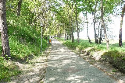 Promenade am Oststrand